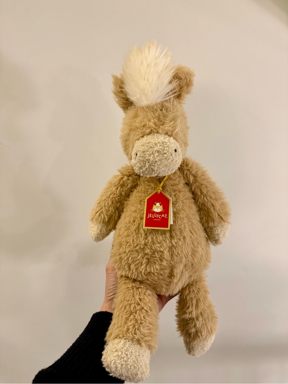 🐴𝐀𝐮𝐭𝐡𝐞𝐧𝐭𝐢𝐜 𝐉𝐞𝐥𝐥𝐲𝐜𝐚𝐭 𝐂𝐚𝐧𝐭𝐞𝐫𝐧𝐞𝐢𝐠𝐡 𝐏𝐨𝐧𝐲🐴 - Picture 2 of 7